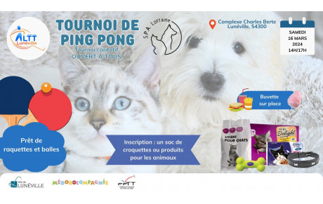 Tournoi aux profits de nos amis les animaux